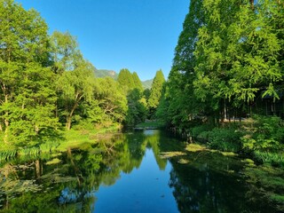 Beautiful mirror lake in a dense forest in Seoul Grand Park. Reflective Lake Surrounded by Dense Forest