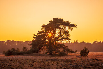 Colorful sunset at moorland landscape