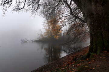 morning on the river