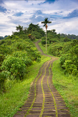 Fototapeta na wymiar Campuhan ridge walk in Bali, Indonatia. A famous pathway in tropical forest