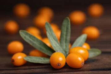 Buckthorn. Sea-buckthorn on wooden background. Buckthorn branch with leaves.
