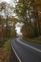 hanbury road going though piper's hill and Dodderhill common forest also known as Hanbury woods during a cloudy autumn day