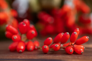 Barberry, Berberis vulgaris, branch with natural fresh ripe red berries on wooden background.