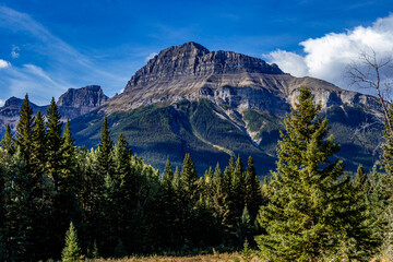 Hillsdale Meadows Banff National Park Alberta Canada