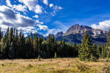 Hillsdale Meadows Banff National Park Alberta Canada