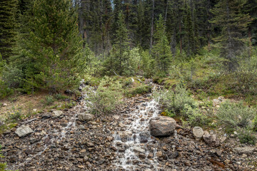Roadside run off Ice Fields Parkway Banff National Park Alberta Canada