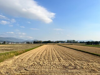 農閑期の田んぼ