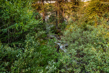 Morants Curve Banff National Park Alberta Canada