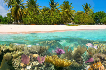 Beautiful sunny tropical beach on the island paradise in the middle of the sea