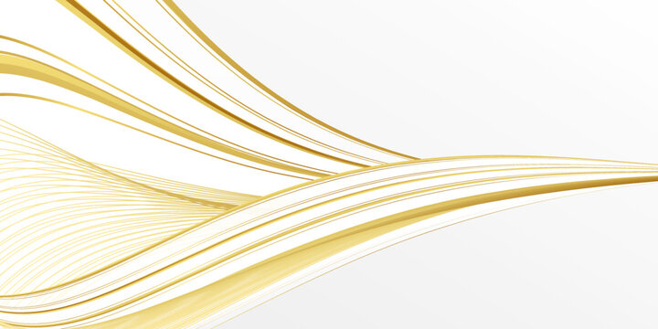 Luxury white gold background vector design
