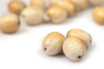 Elaeagnus angustifolia fruits on white background close up