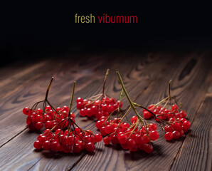 Branches red berries of Viburnum, arrow wood, on wooden background