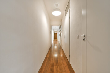 Empty corridor of the interior of a modern apartment