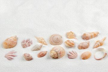 Fototapeta na wymiar top view of sandy background with seashells