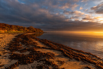 Sunrise at Penrhos Nature Park, Isle of Anglesey, North Wales 