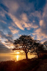 Fototapeta na wymiar Sunrise at Penrhos Nature Park, Isle of Anglesey, North Wales 