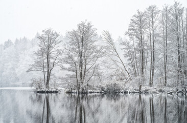 Teichinsel im Schnee (bei Wulkow: Ostprignitz- Brandenburg)