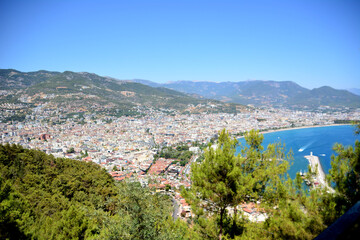 Naklejka na ściany i meble Alanya town with mountains view from top through pine trees