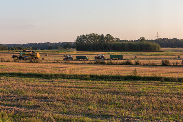 Fototapeta na wymiar Harvest, autumn field work