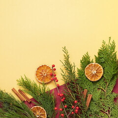 Background for your text with thuja, juniper, orange, berries and cinnamon.Yellow and magenta.