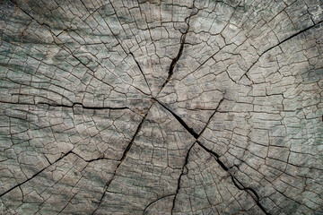 Hardwood texture background. Old wooden pattern surface for flooring, backdrop, material wall. 
