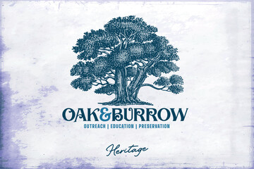 Vintage oak tree logo template
