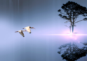 Tree Stands Alone Art Work Photography