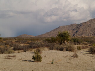 dramatic heavy stormy sky over desert