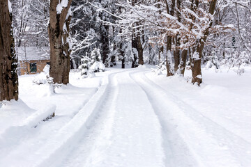 Fototapeta premium Winter. Wavy snowy road in the forest