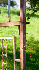 Puerta oxidada en verja metálica de finca rural