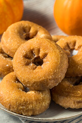 Homemade Pumpkin Spice Donuts
