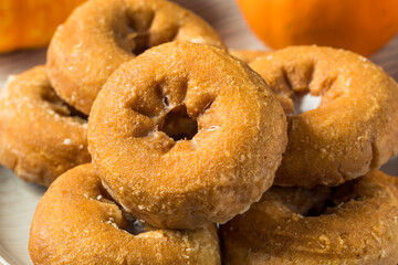 Fototapeta na wymiar Homemade Pumpkin Spice Donuts