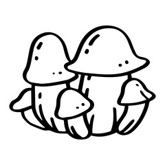 Mushroom hand drawn illustration