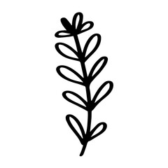 Leaf romantic hand drawn illustration
