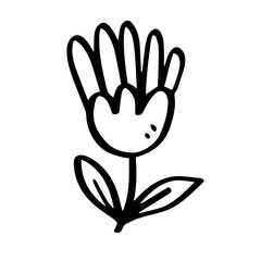 Fototapeta na wymiar chamomile daisy hand drawn illustration