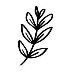 Leaf romantic hand drawn illustration