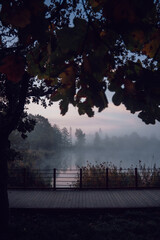 foggy landscape at the lake