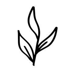Obraz premium Leaf hand drawn illustration