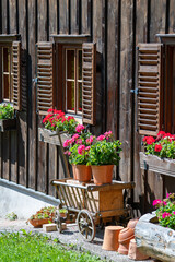 Fototapeta na wymiar Wooden cart with red flowers in garden near wooden house, closeup. Landscape design in the country style, Austria