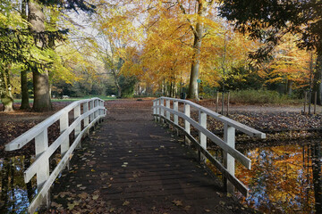 Fototapeta premium Autumn in the public park of The Hague
