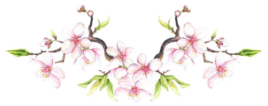Watercolor painted white cherry blossoms on a branch. Isolated floral arrangement illustration. Cut out hand drawn PNG illustration on transparent background. Watercolour isolated clipart drawing.