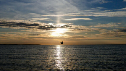Dramatischer Sonnenuntergang über dem Meer: Die tief stehende Sonne sendet einen Lichtstrahl und eine goldene Spiegelung über das Wasser, mit einem Vogel in der Mitte.