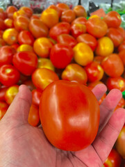 red tomato against tomatos background on the market