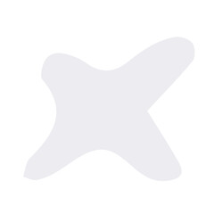 Star shape design ornament