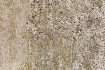 stone wall texture
