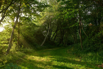 Natural park of Zugastieta, La Arboleda, Trapagaran, Bizkaia.