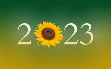 2023 new year background with sunflower on colorful background