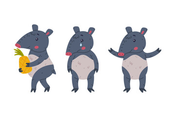 Cute Grey Tapir Animal with Proboscis Standing, Crying and Carrying Pineapple Vector Set