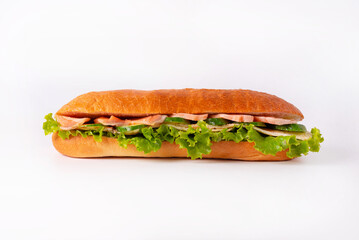 sandwich on a white background