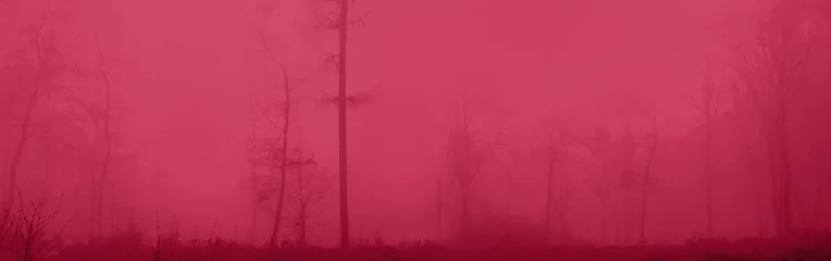 panoramic blurred blue landscape of the forest in the fog, bare tree trunks, concept horor, magic photo wallpaper